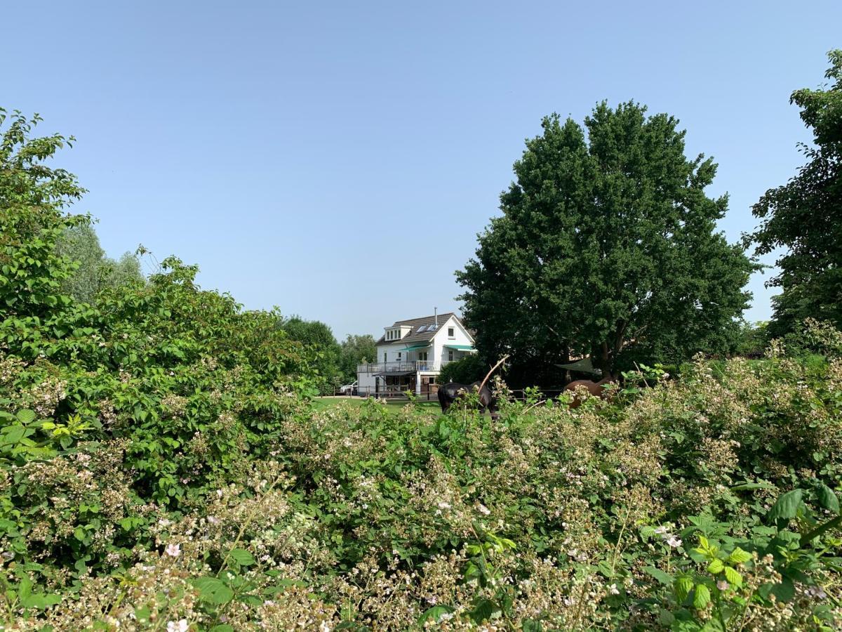 Luxury Guest House - Eik Aan De Dijk Aalst Luaran gambar